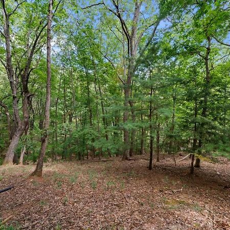 Cozy Bear Getaway Villa Marble Hill Bagian luar foto