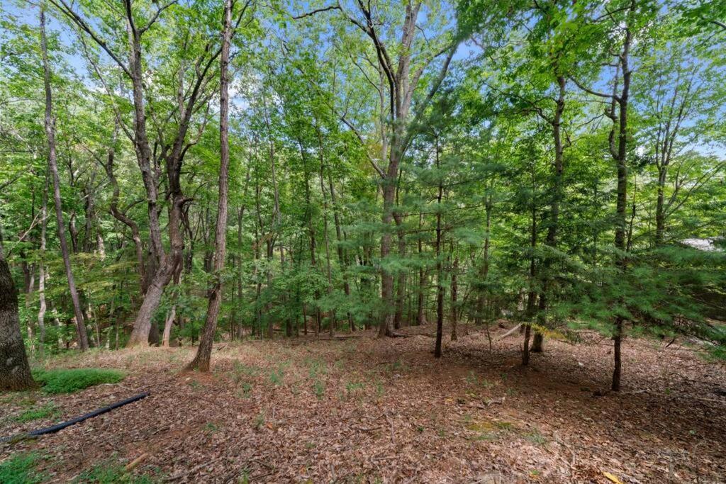 Cozy Bear Getaway Villa Marble Hill Bagian luar foto