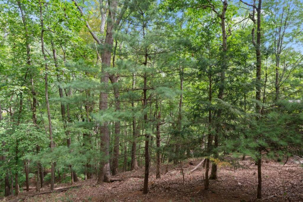 Cozy Bear Getaway Villa Marble Hill Bagian luar foto